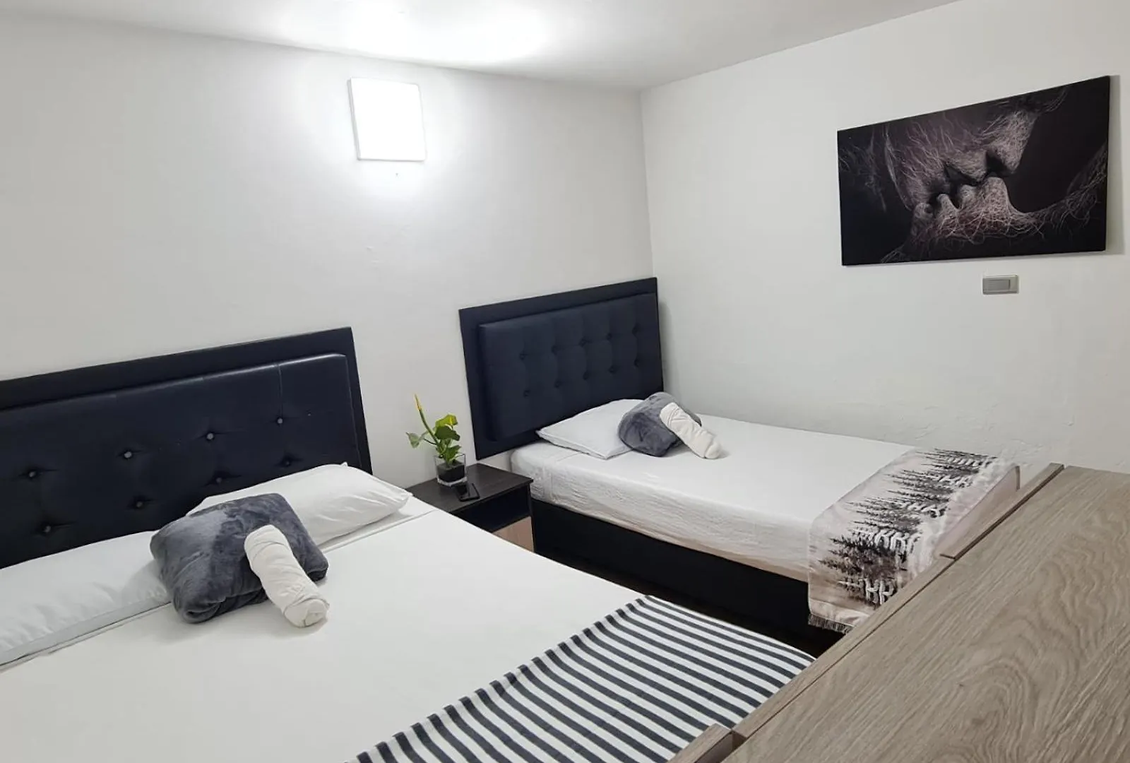 New Cozy Apartment In The Poblado, San Lucas Medellin