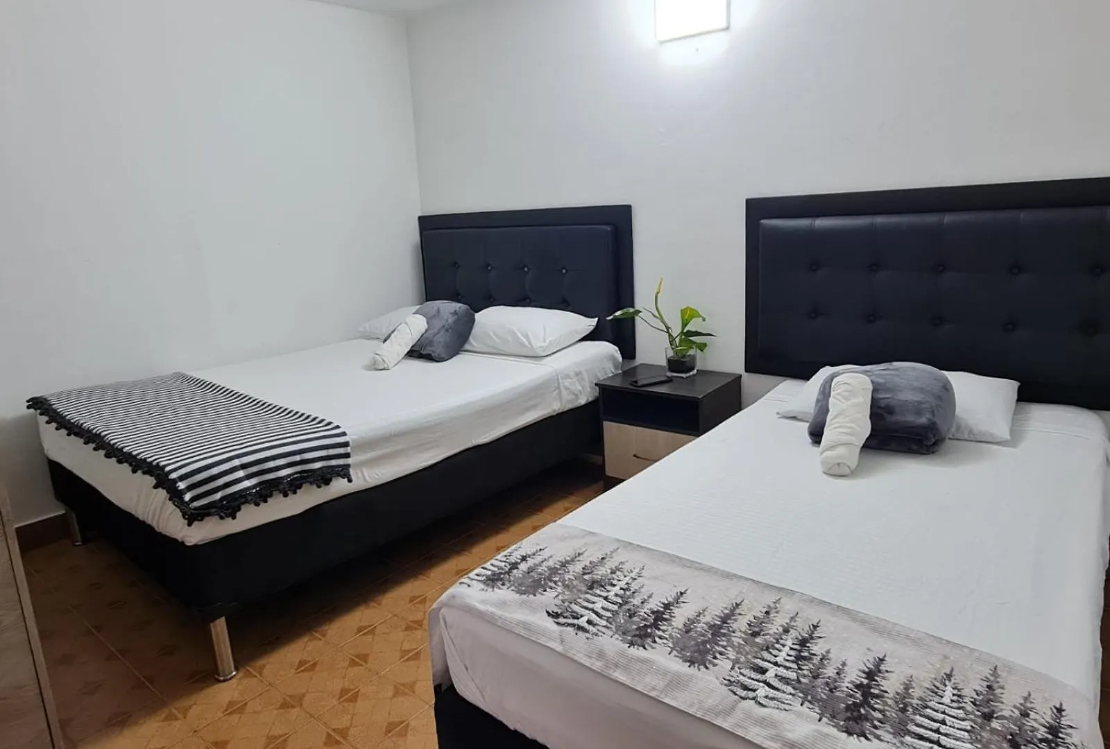 New Cozy Apartment In The Poblado, San Lucas Medellin Colombia