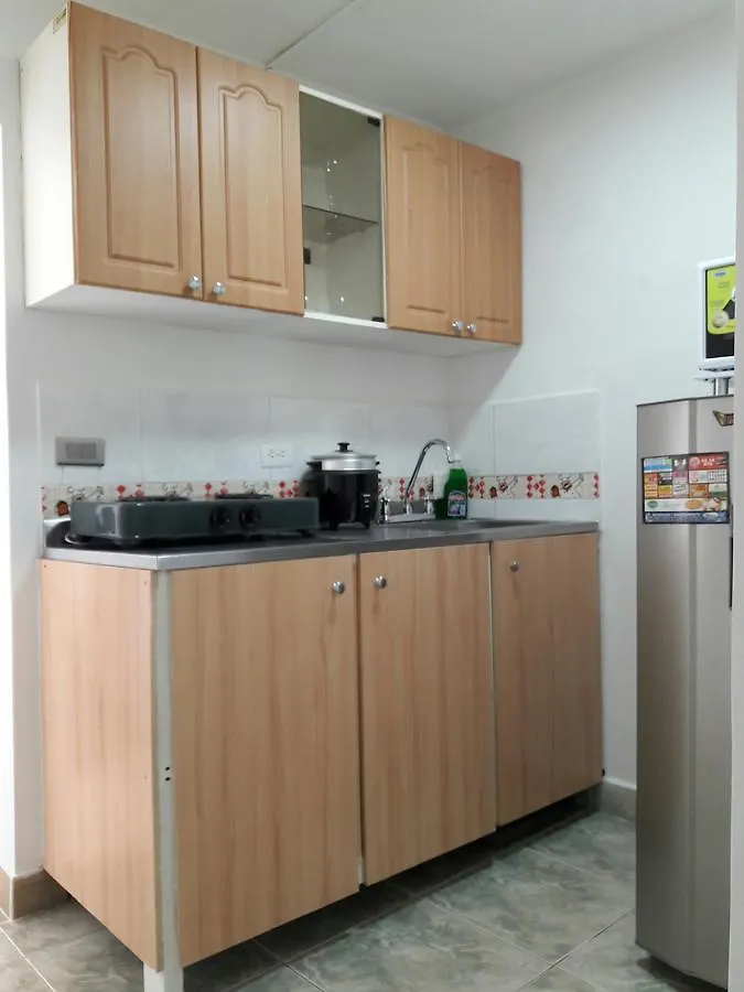 New Cozy Apartment In The Poblado, San Lucas Medellin