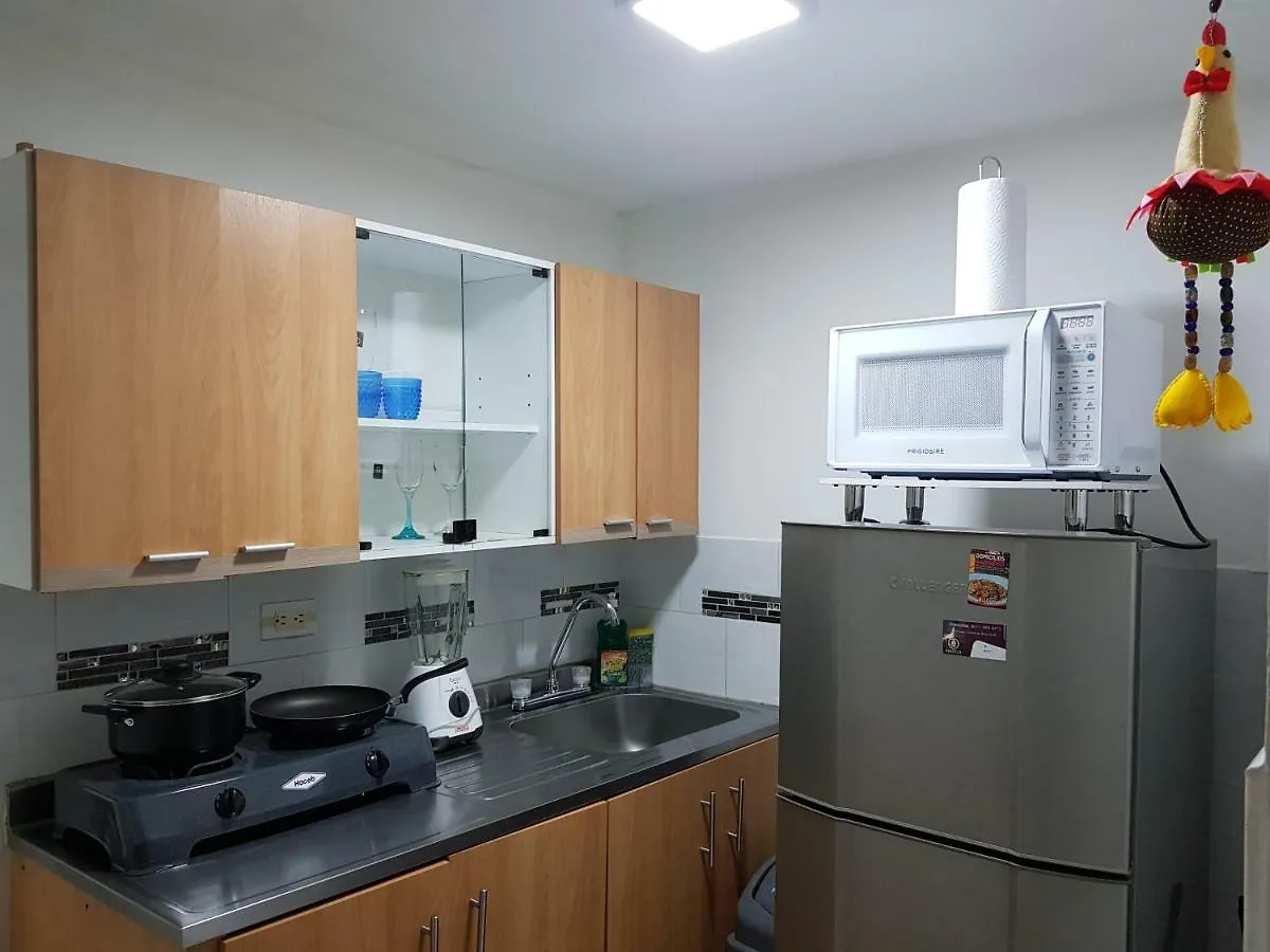 New Cozy Apartment In The Poblado, San Lucas Medellin